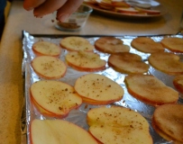 Apple Chip slices